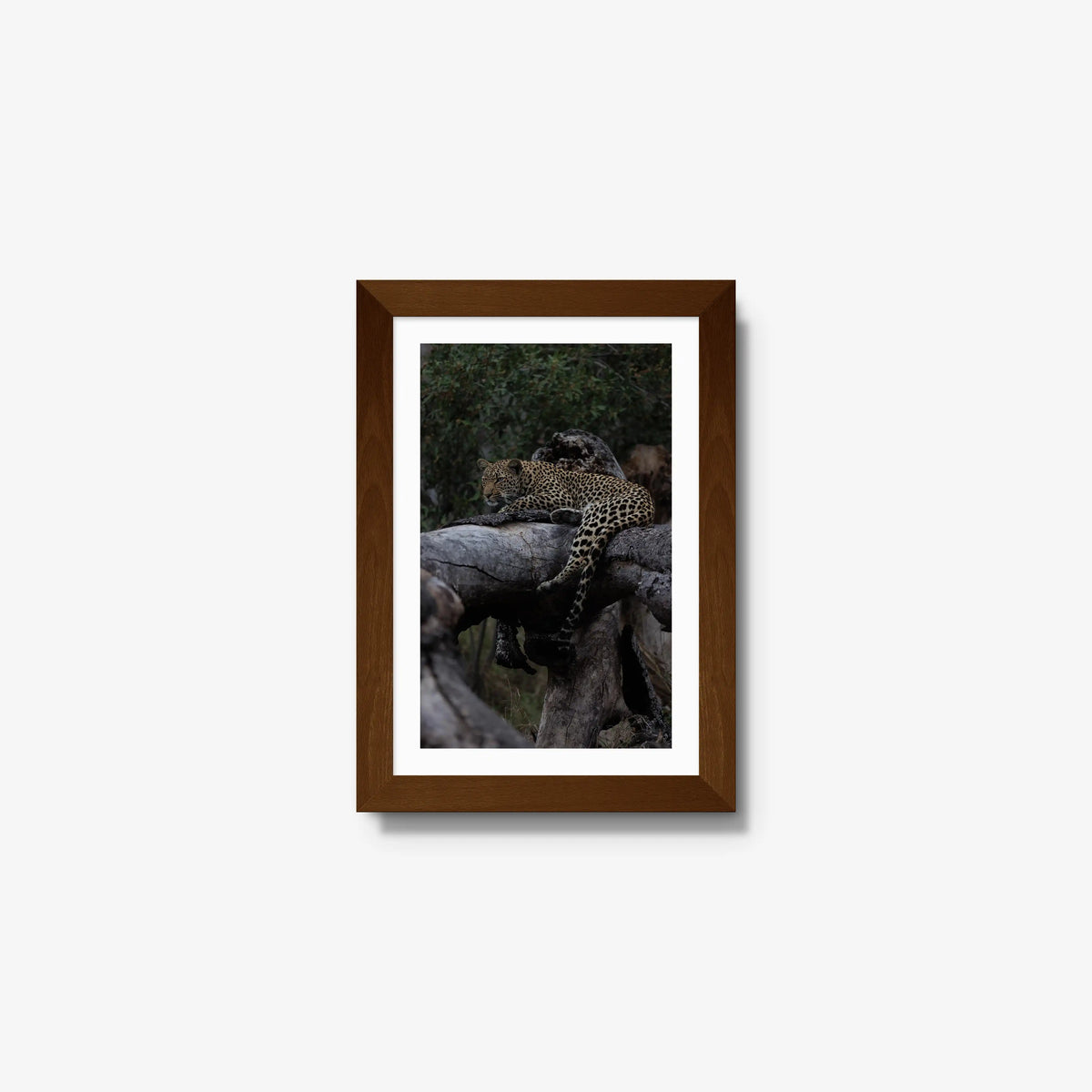 Elsewhere — mini / brown / mat