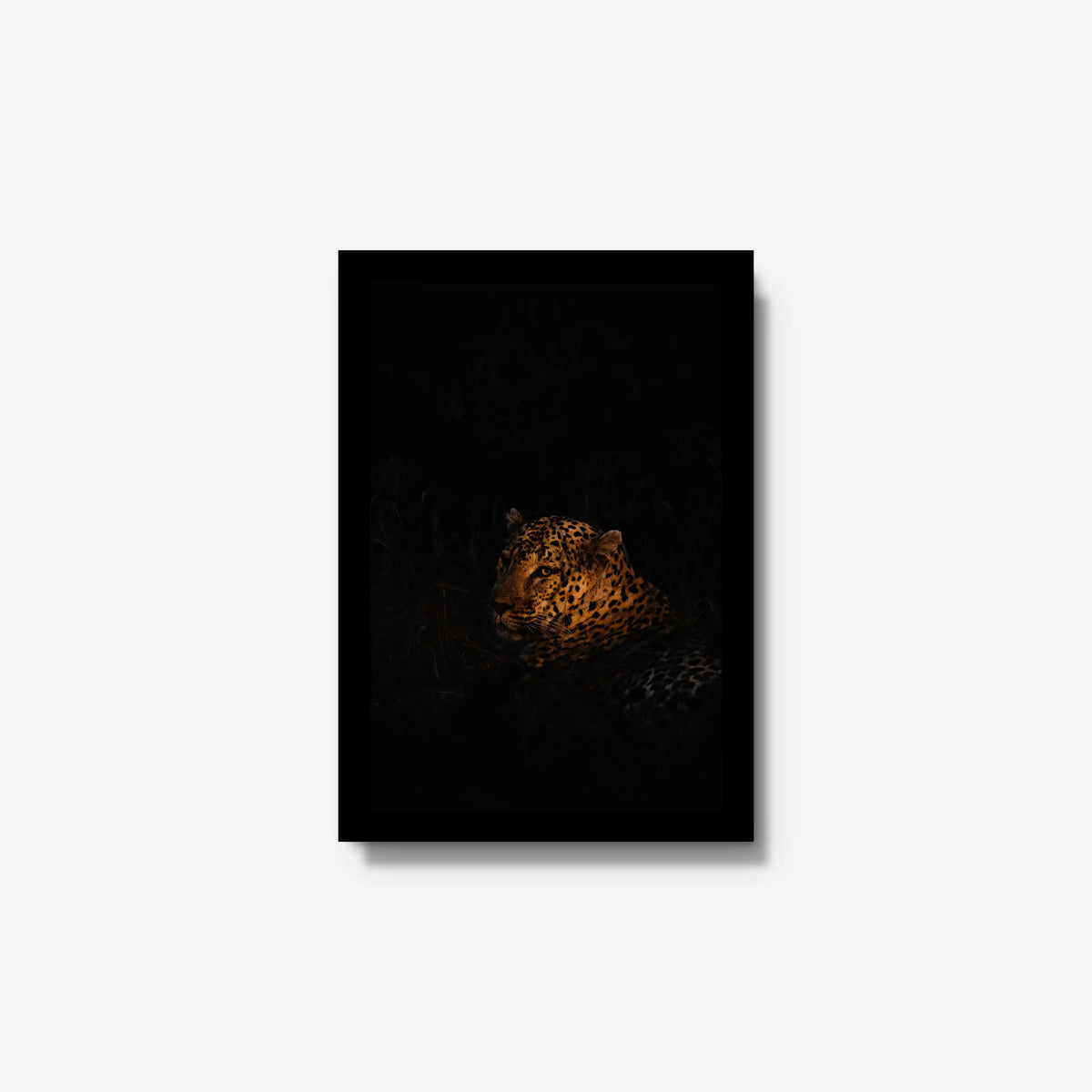 The Void — small / black / full