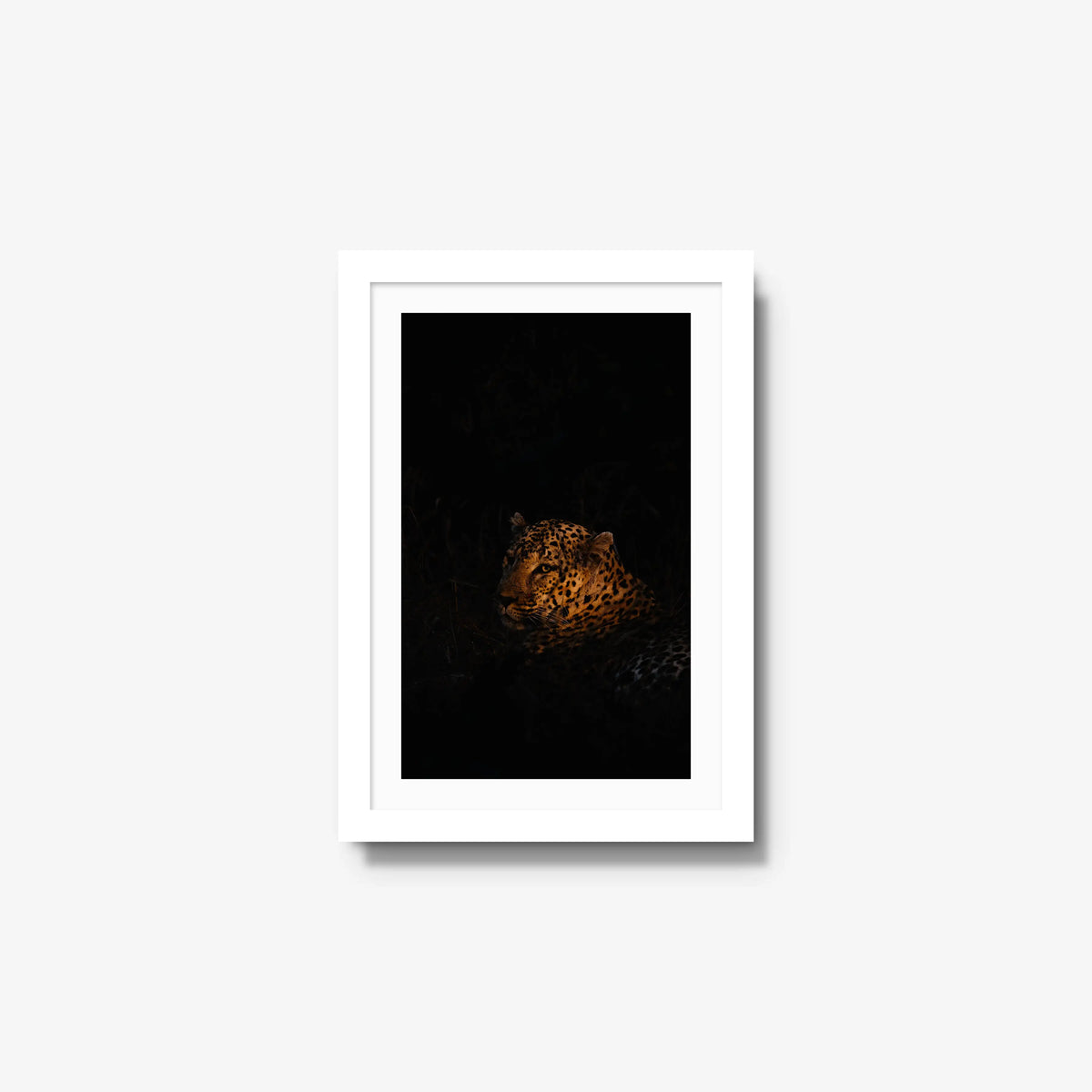 The Void — small / white / mat