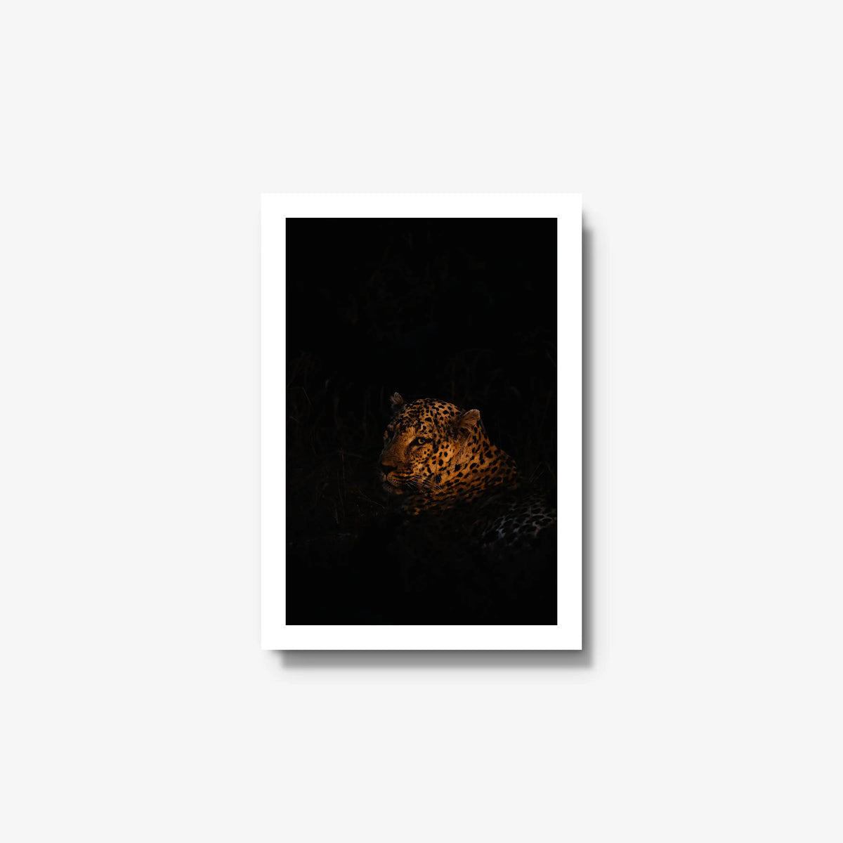 The Void — small / white / full