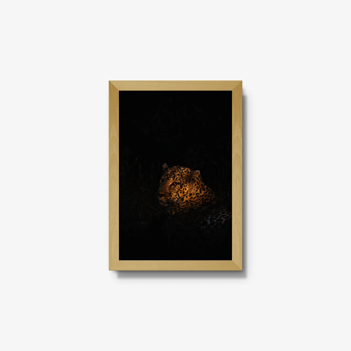 The Void — small / natural / full