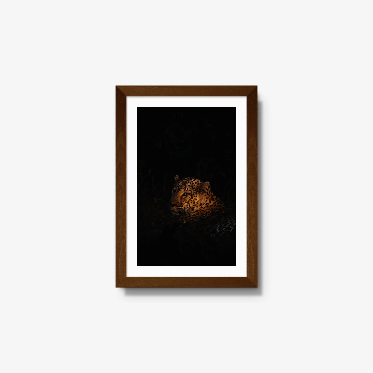 The Void — small / brown / mat