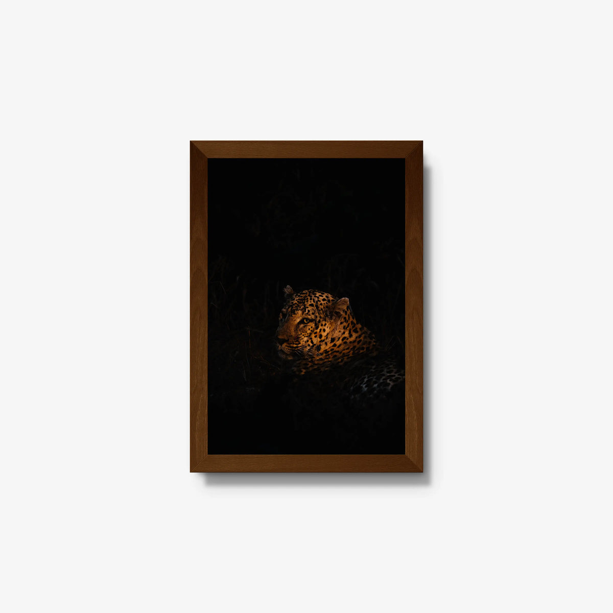The Void — small / brown / full