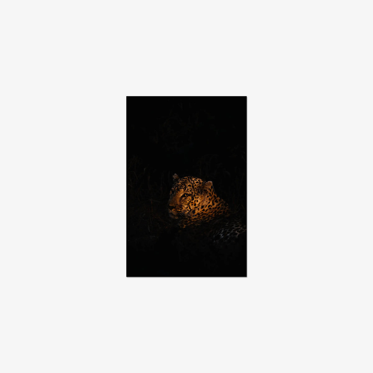 The Void — small / print / n/a