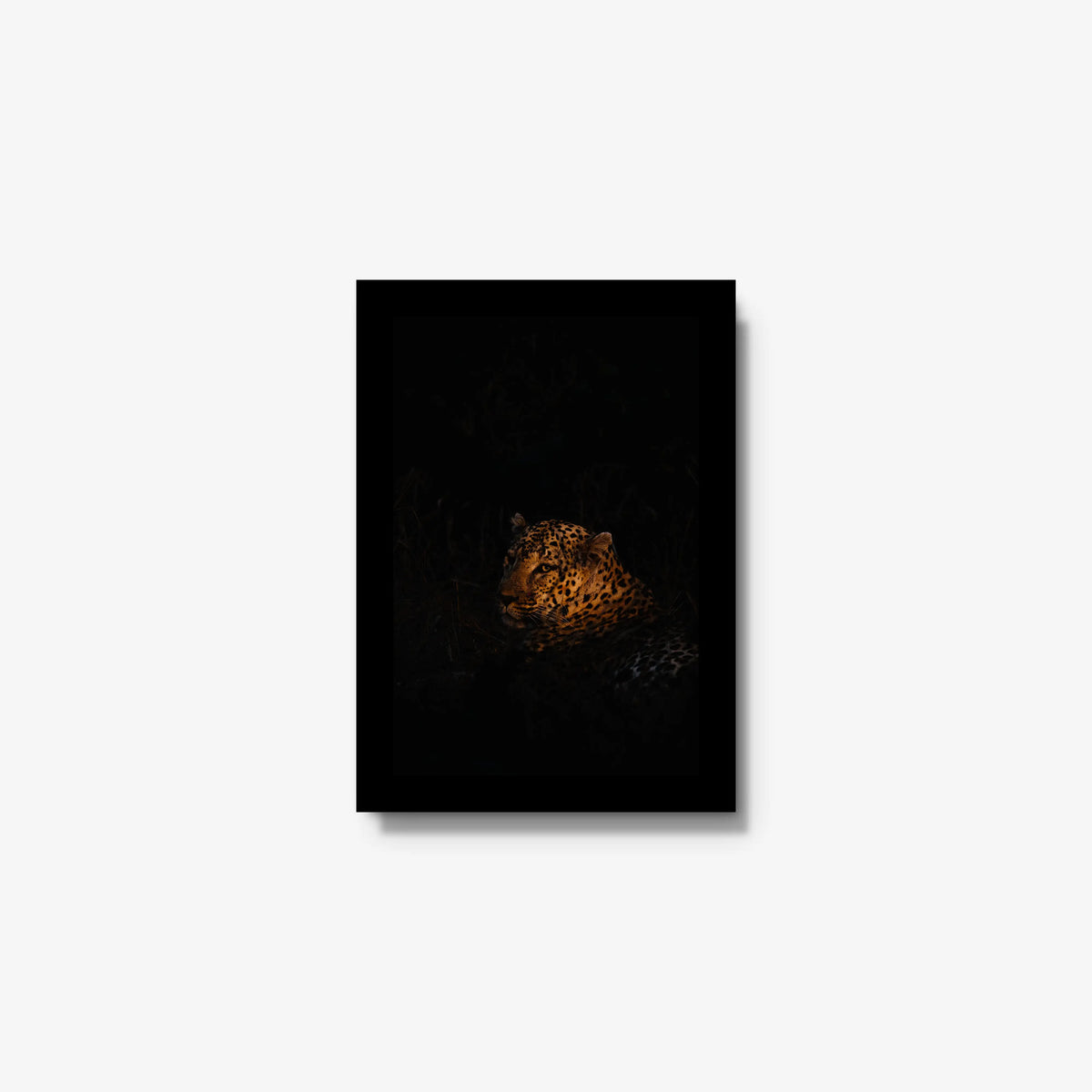 The Void — mini / black / full