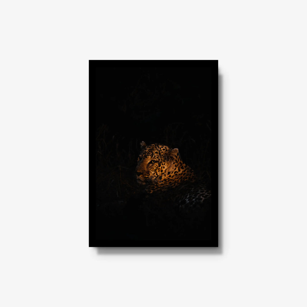 The Void — medium / black / full