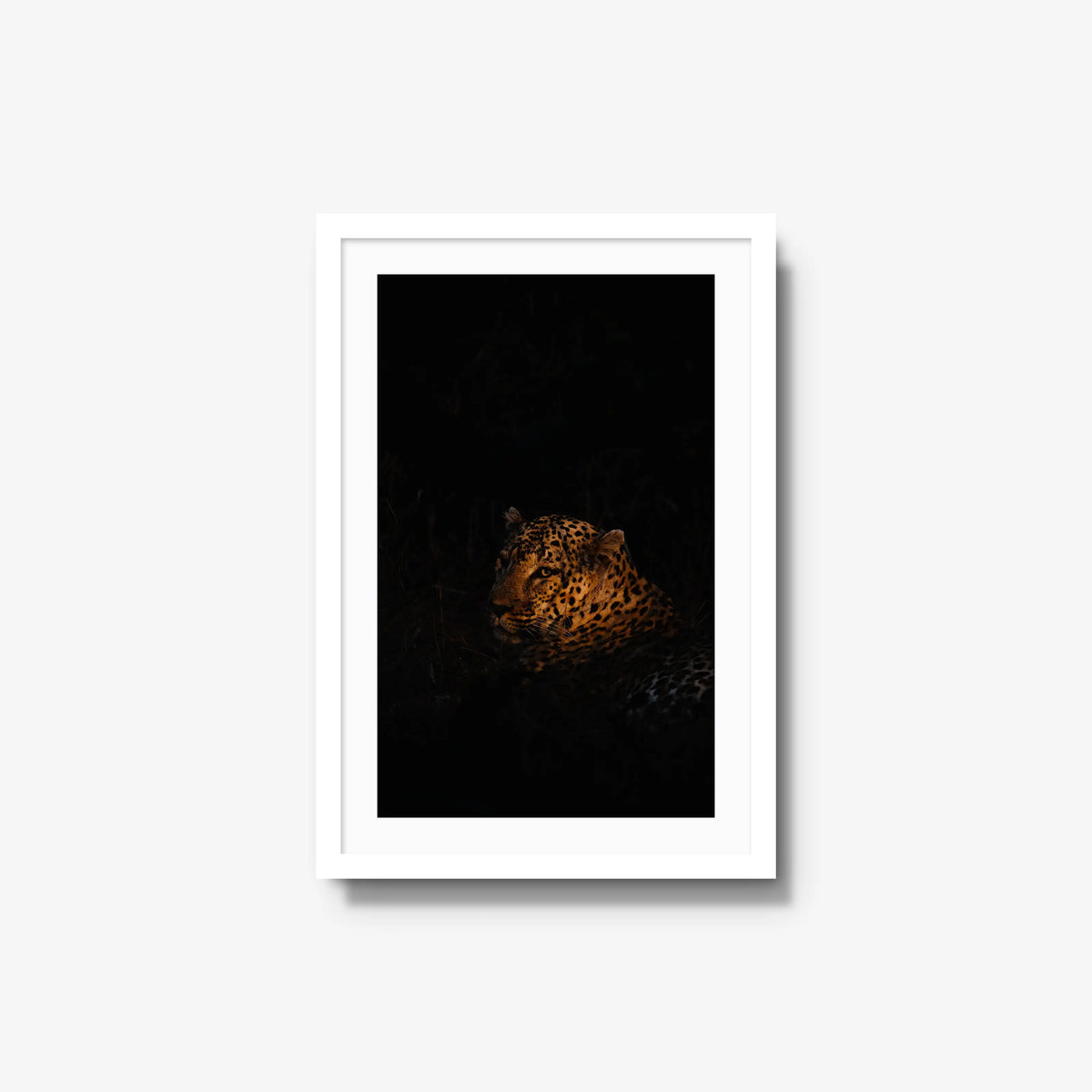 The Void — medium / white / mat
