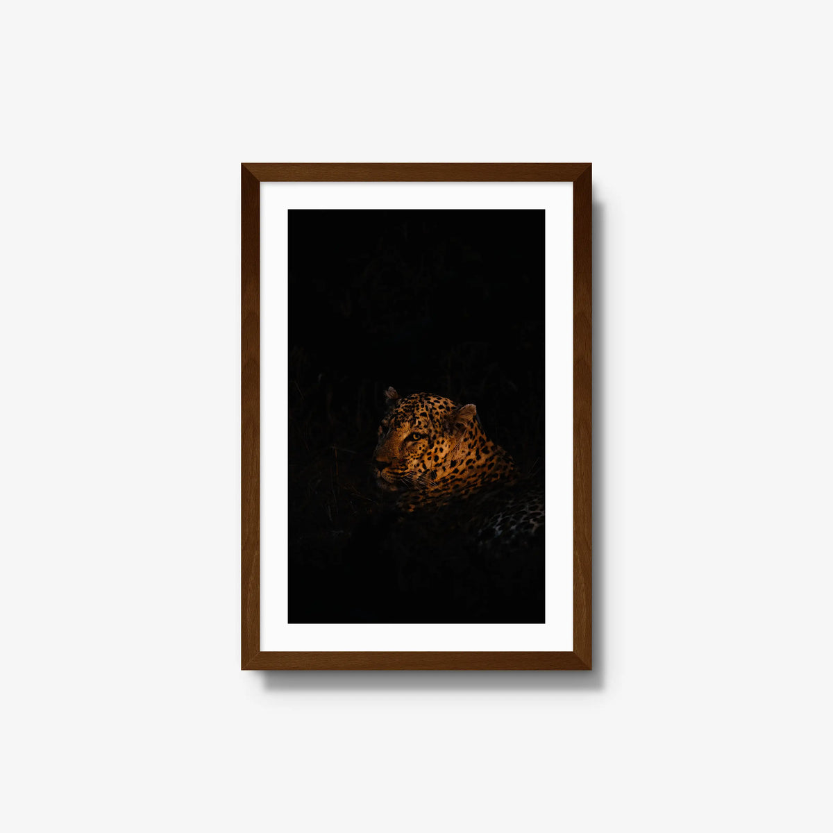 The Void — medium / brown / mat