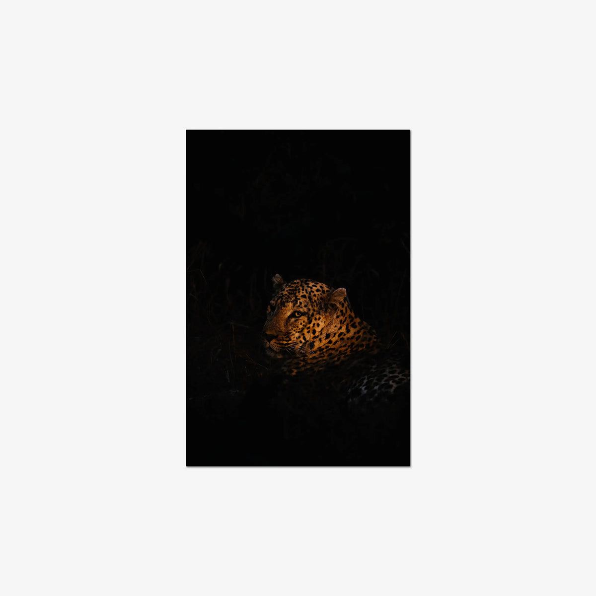 The Void — medium / print / n/a