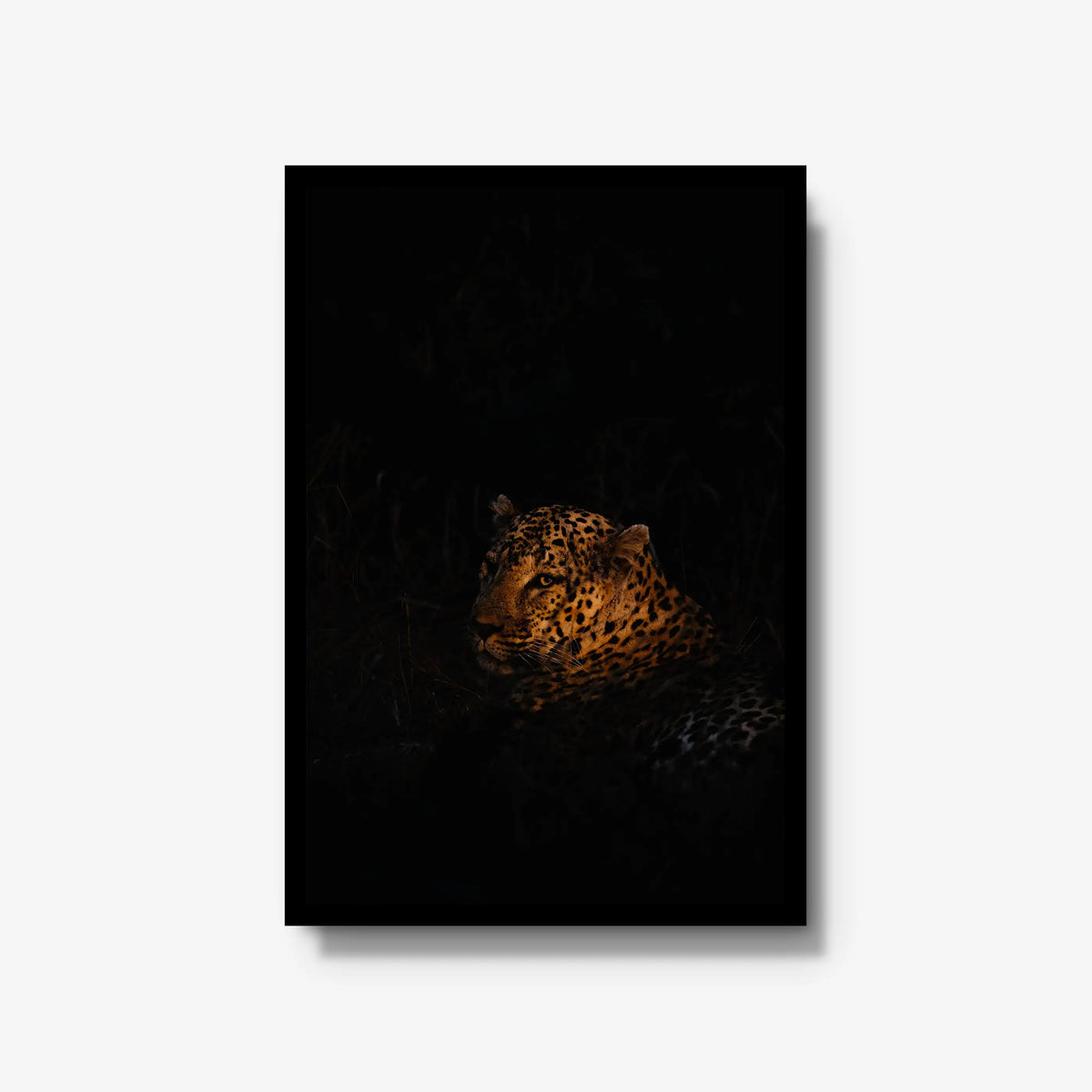 The Void — large / black / full