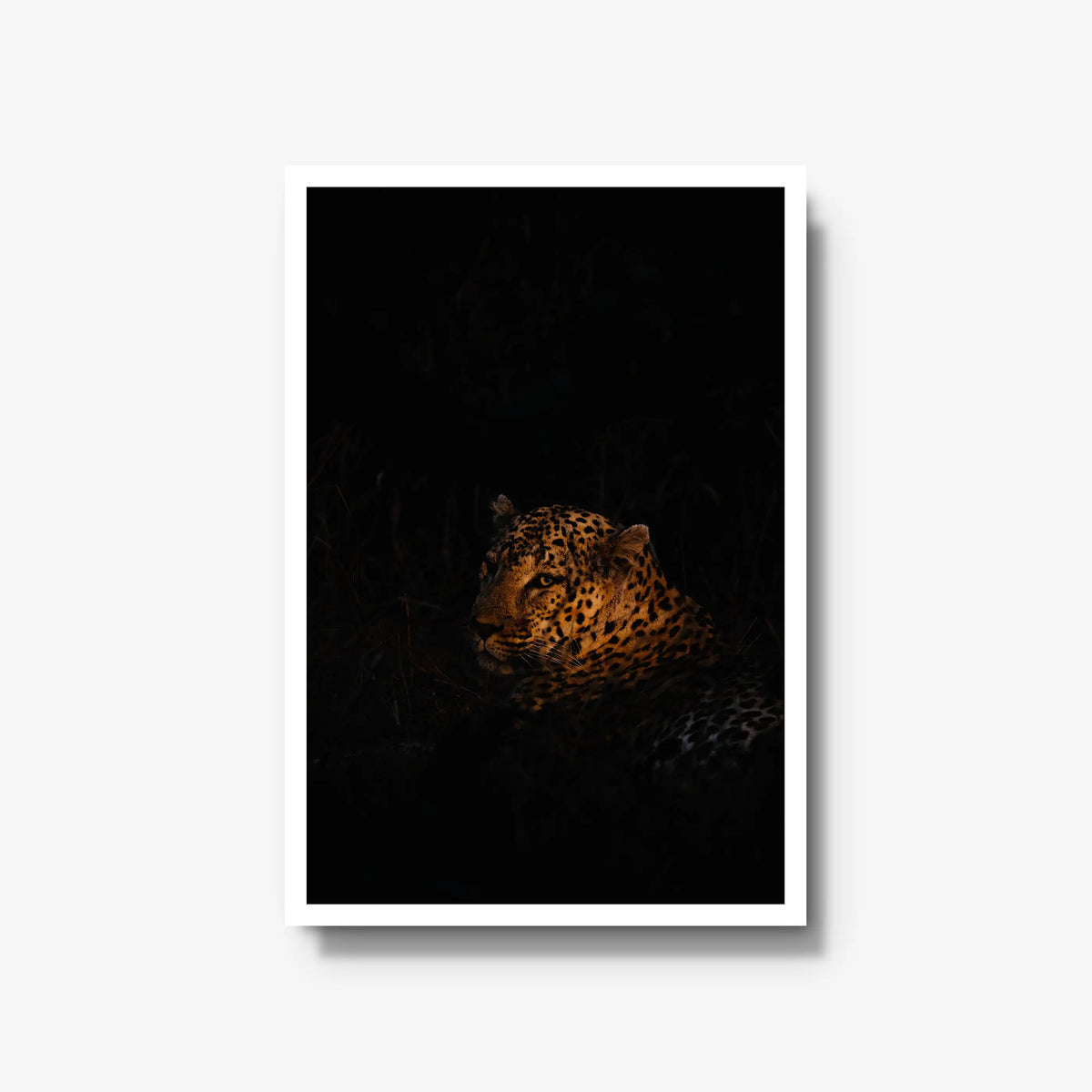 The Void — large / white / full