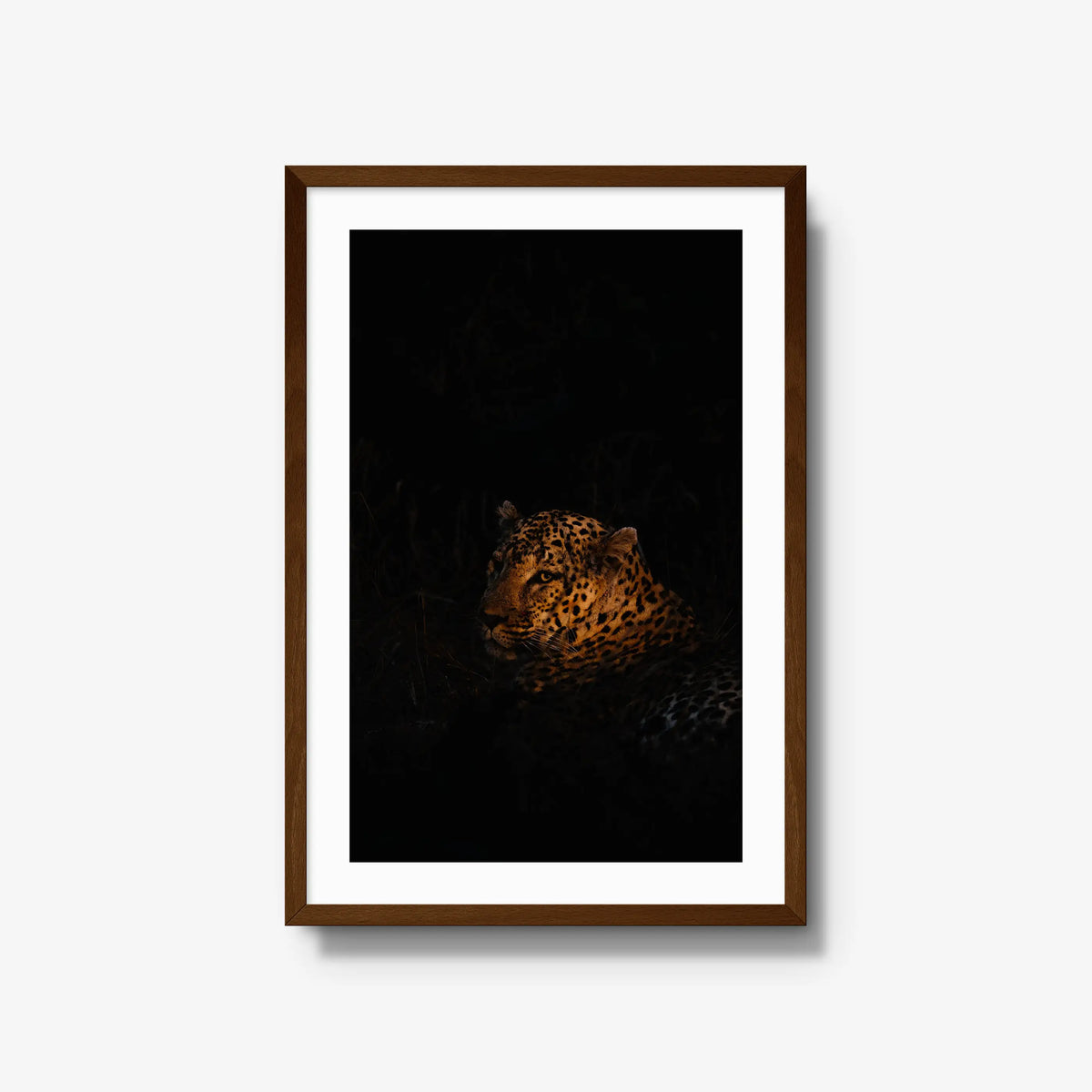 The Void — large / brown / mat