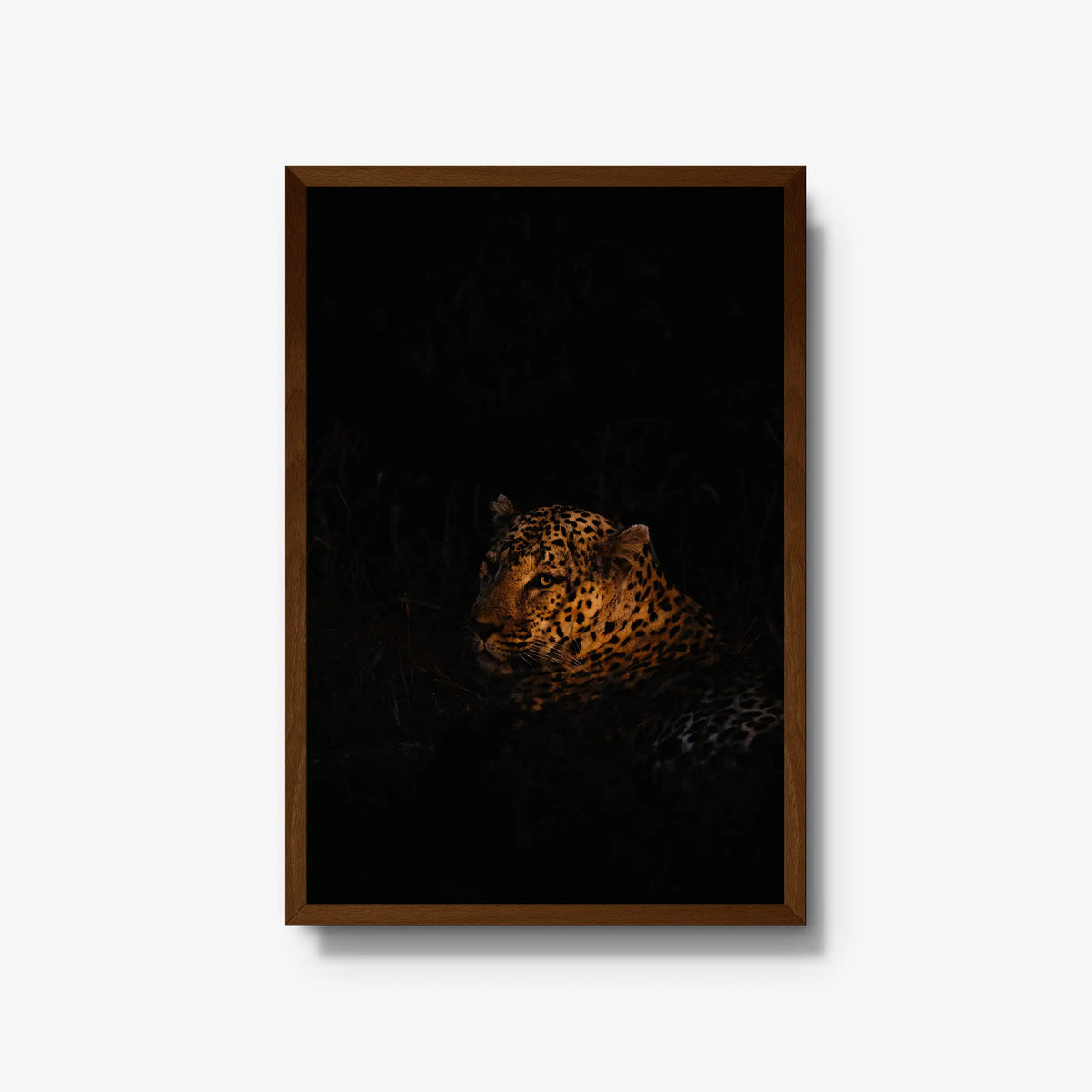 The Void — large / brown / full