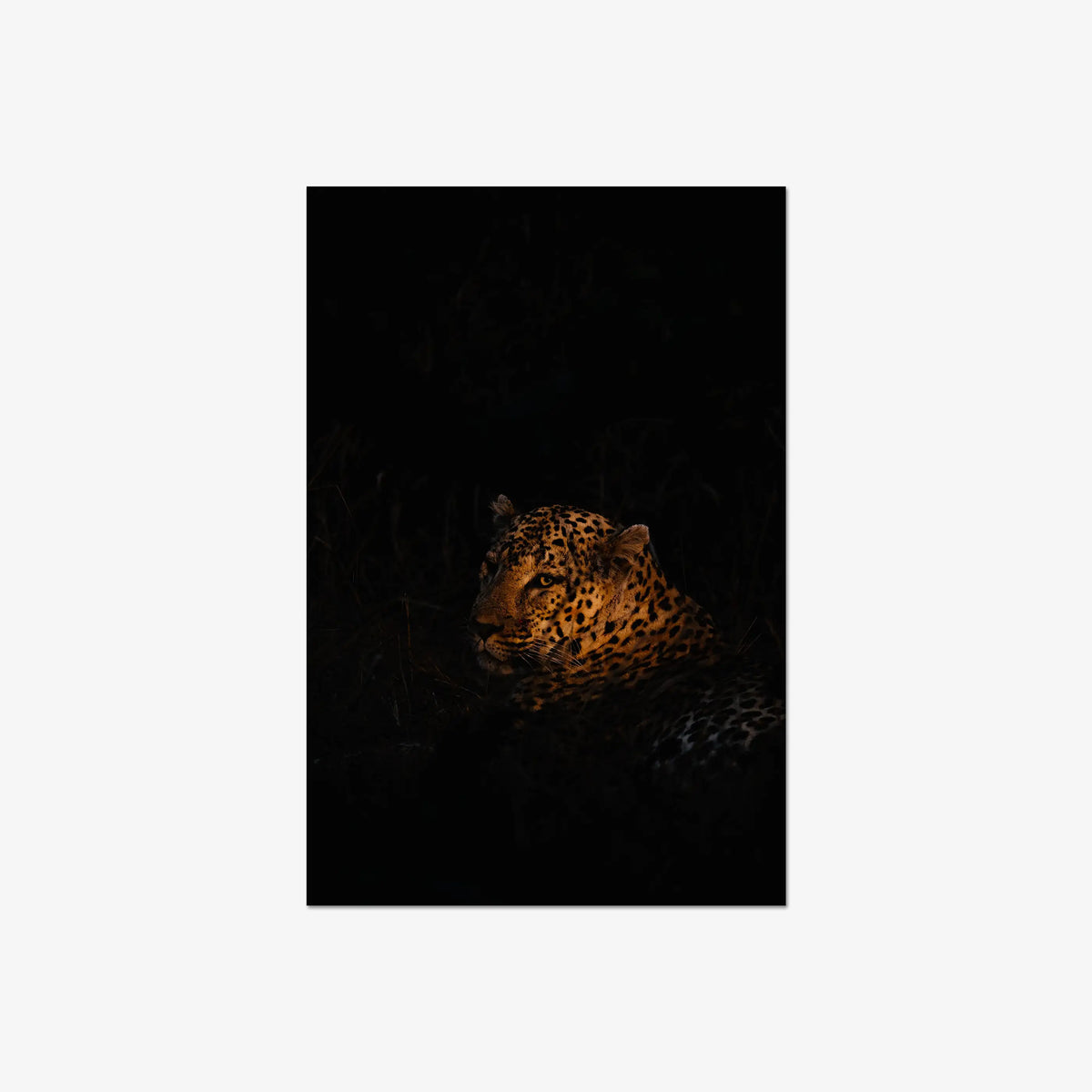 The Void — large / print / n/a