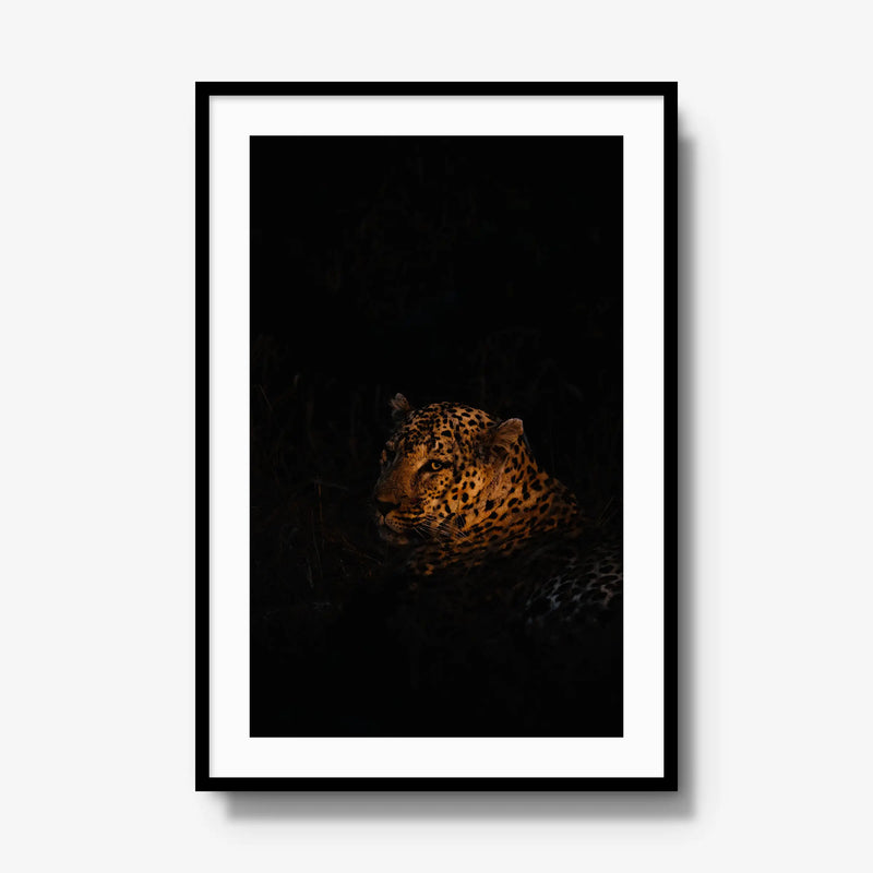 The Void