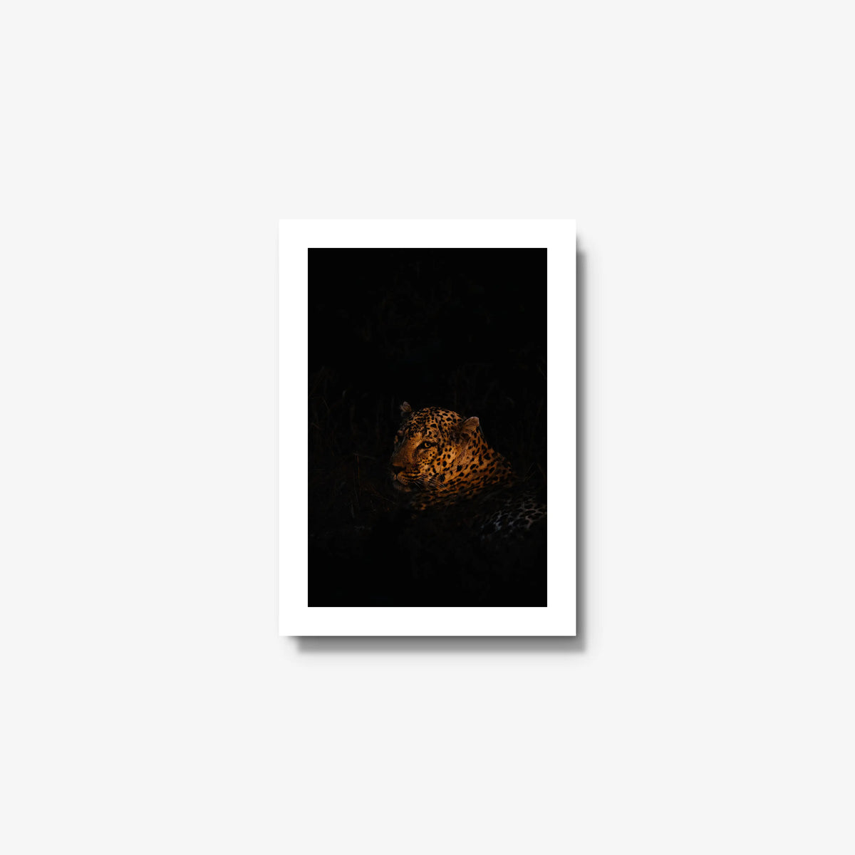 The Void — mini / white / full