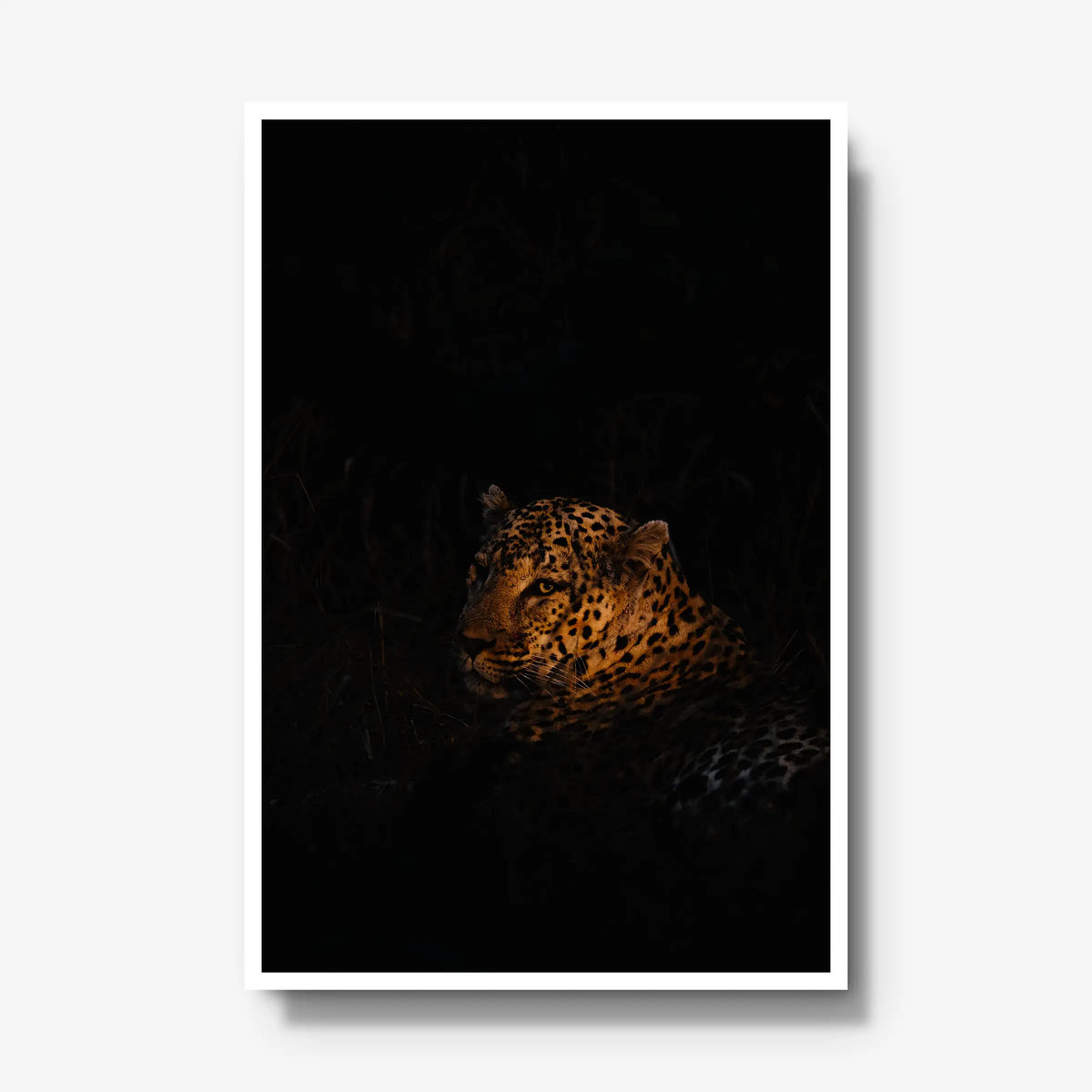 The Void — gallery / white / full
