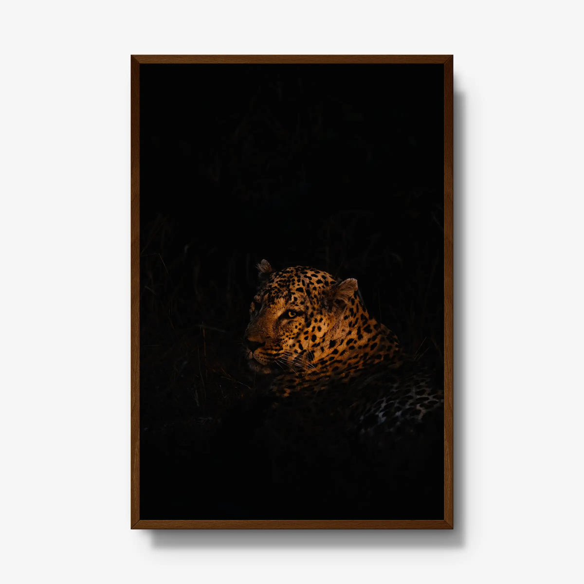 The Void — gallery / brown / full