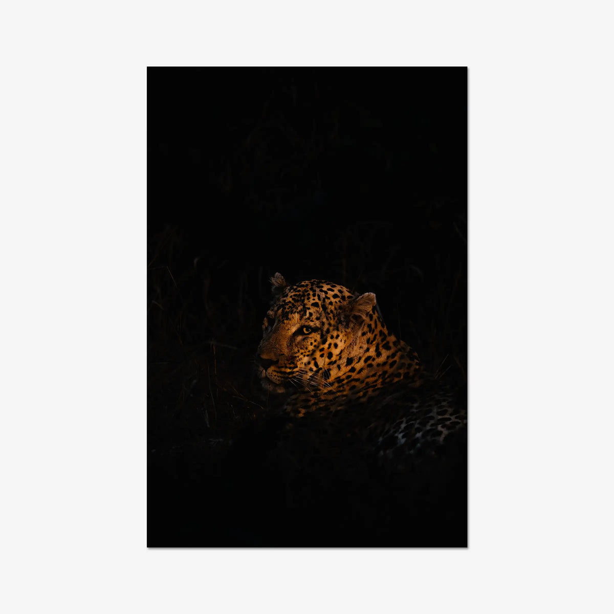 The Void — gallery / print / n/a