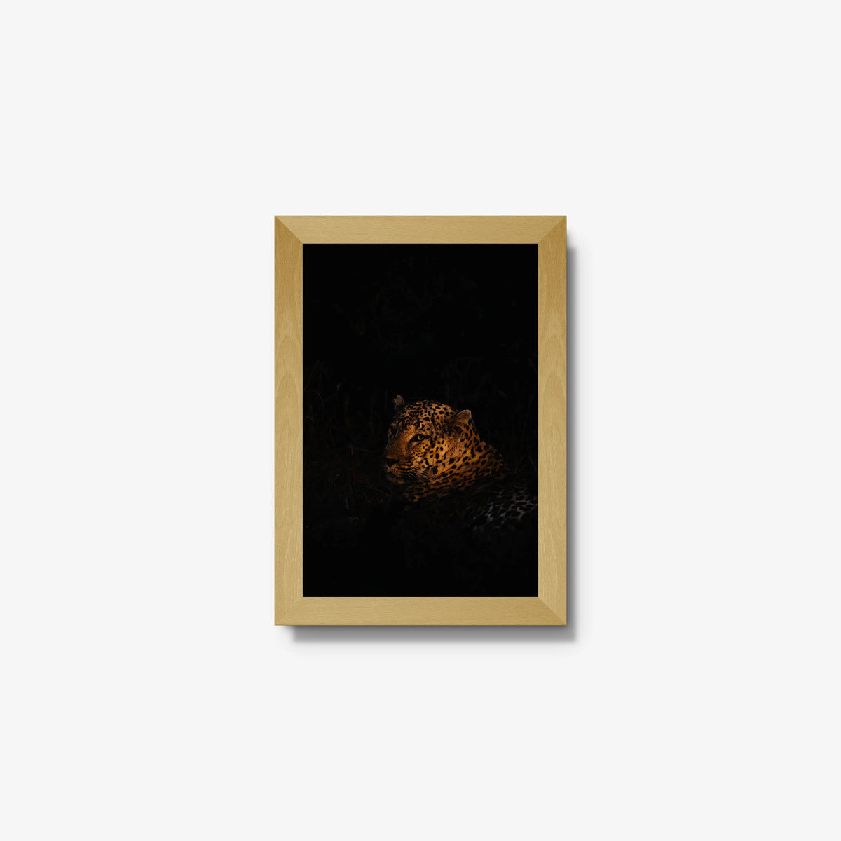 The Void — mini / natural / full