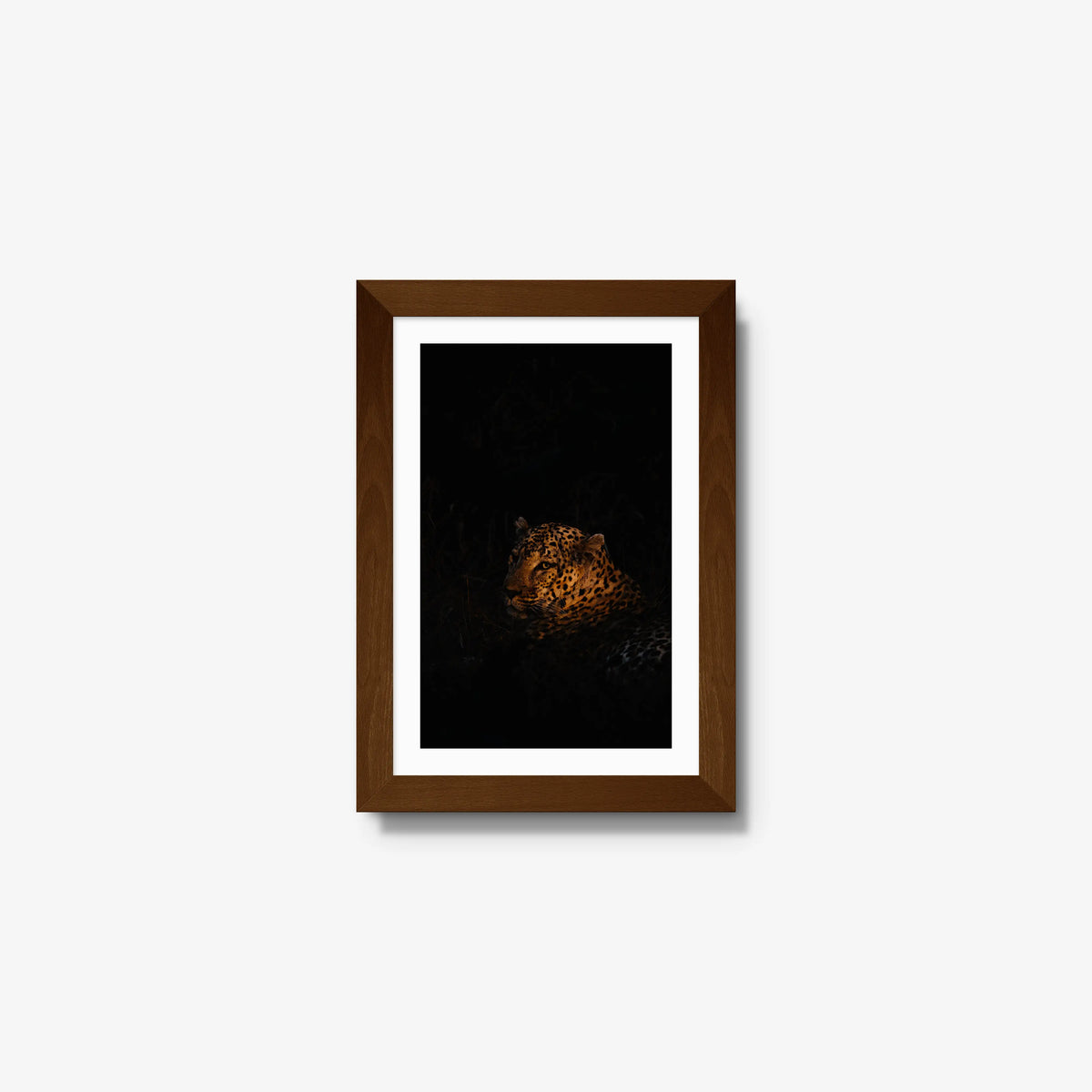 The Void — mini / brown / mat