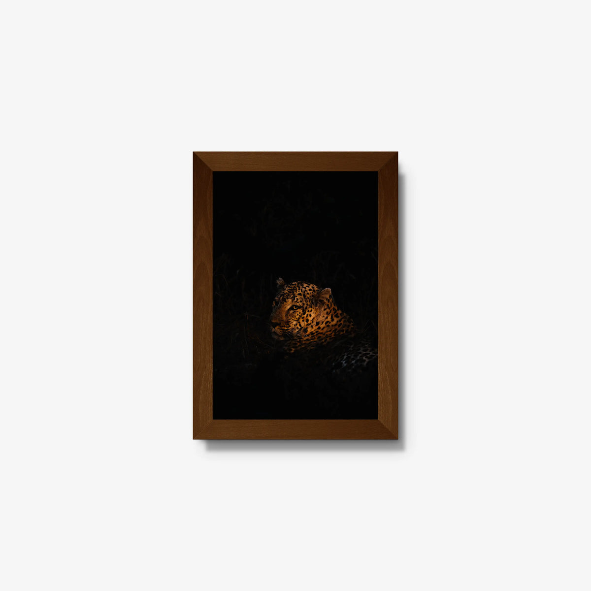 The Void — mini / brown / full