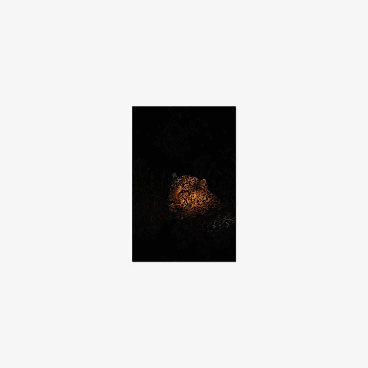 The Void — mini / print / n/a