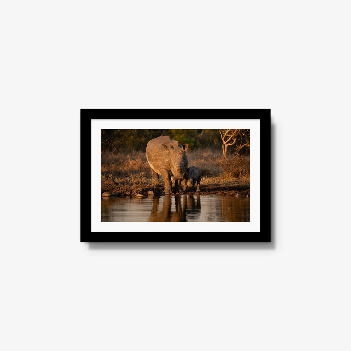 Shield and Shadow — small / black / mat