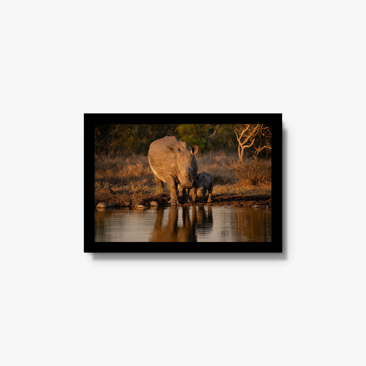 Shield and Shadow — small / black / full