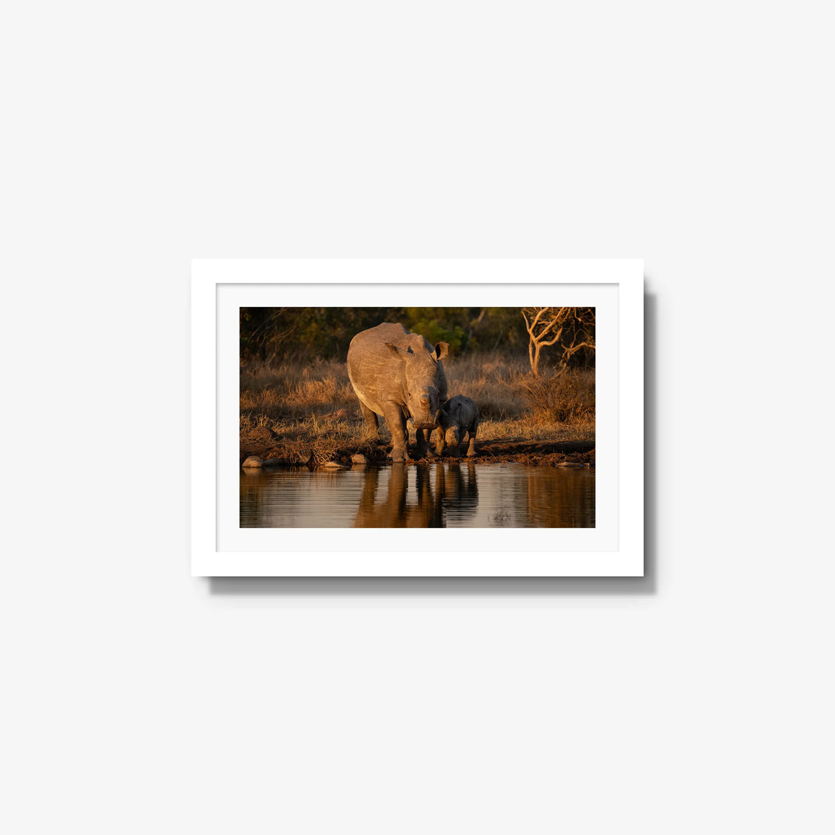 Shield and Shadow — small / white / mat