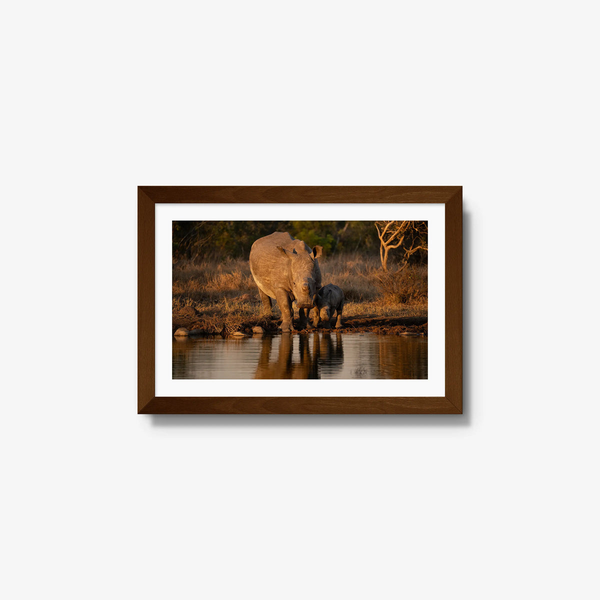 Shield and Shadow — small / brown / mat