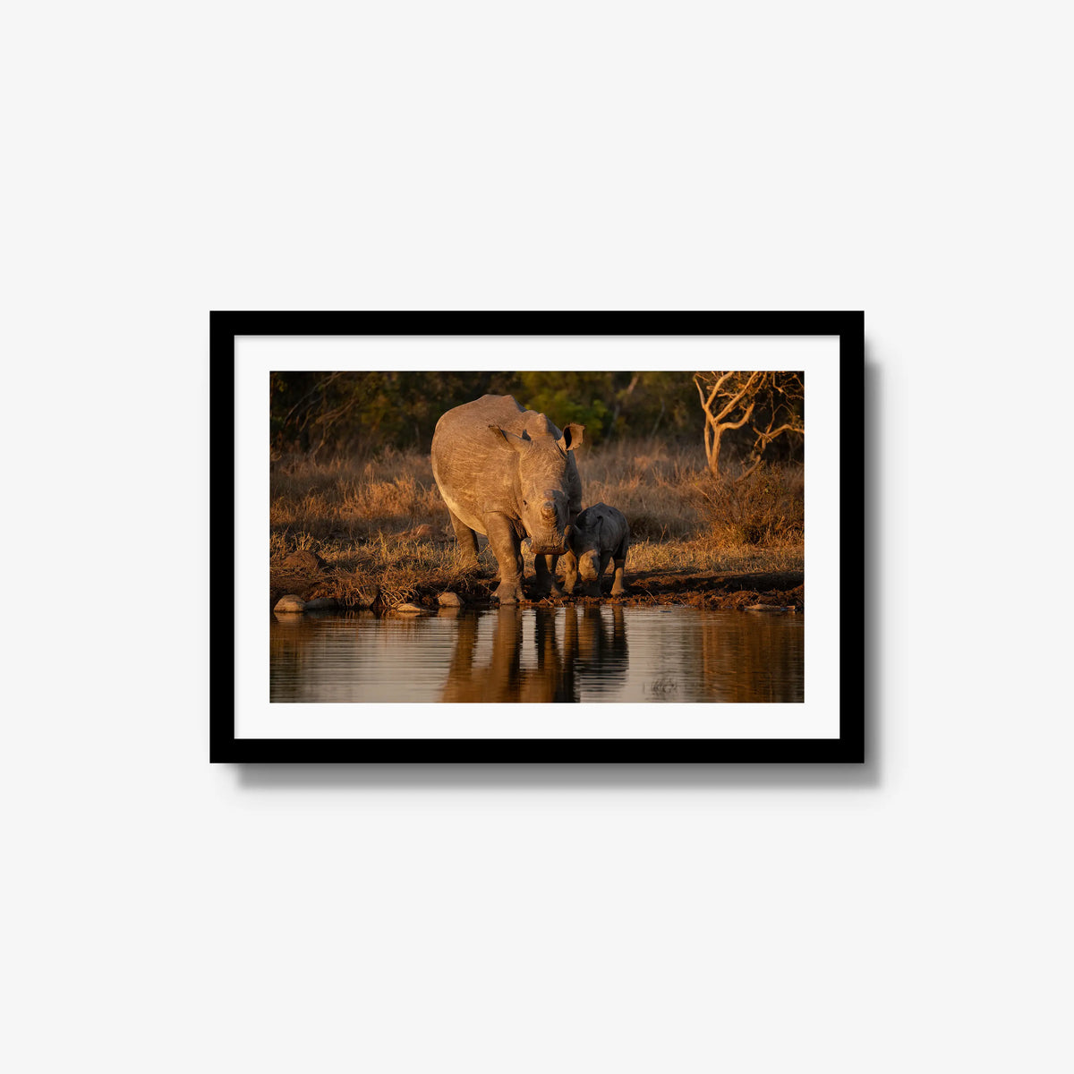 Shield and Shadow — medium / black / mat