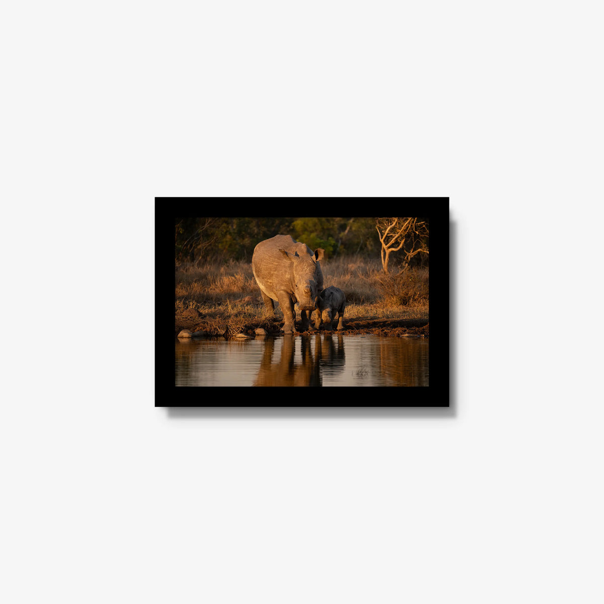 Shield and Shadow — mini / black / full
