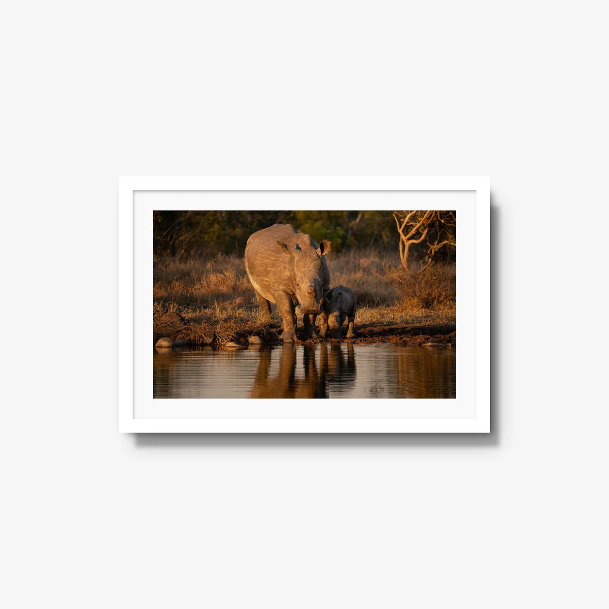 Shield and Shadow — medium / white / mat