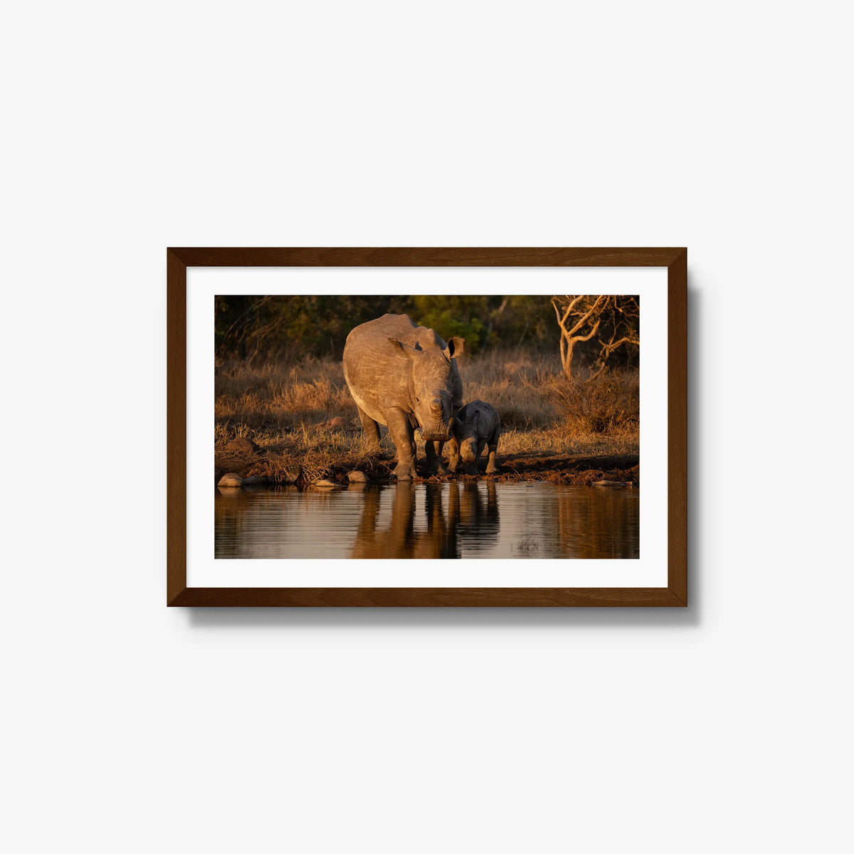Shield and Shadow — medium / brown / mat