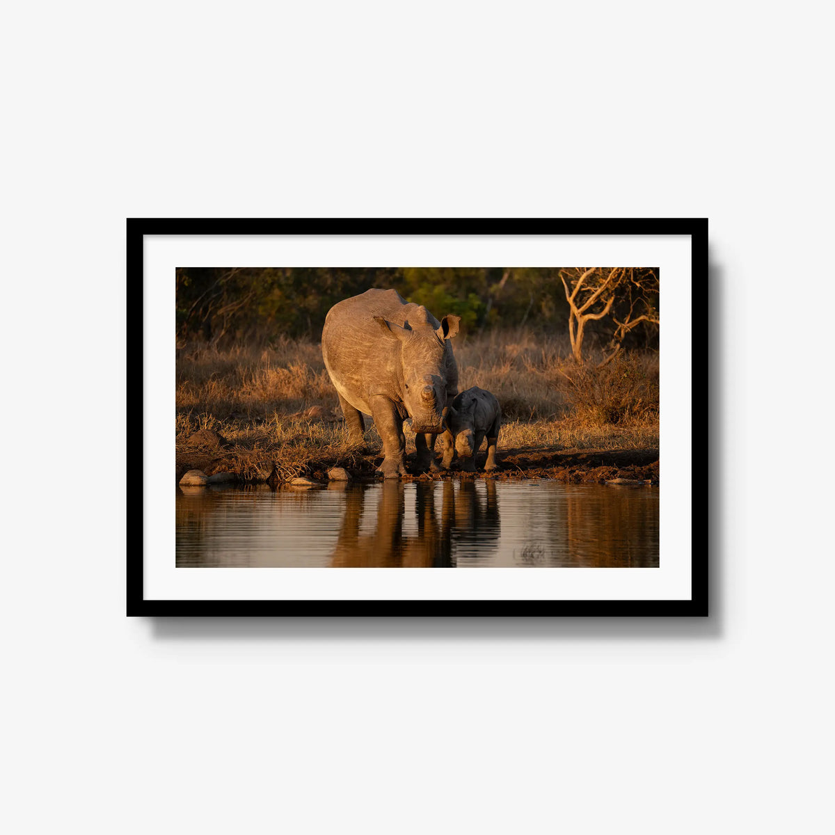 Shield and Shadow — large / black / mat
