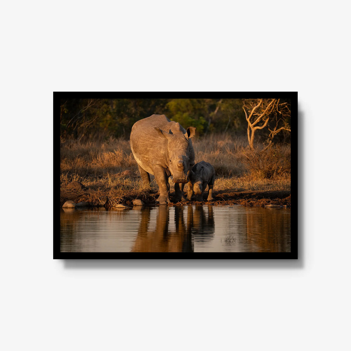 Shield and Shadow — large / black / full