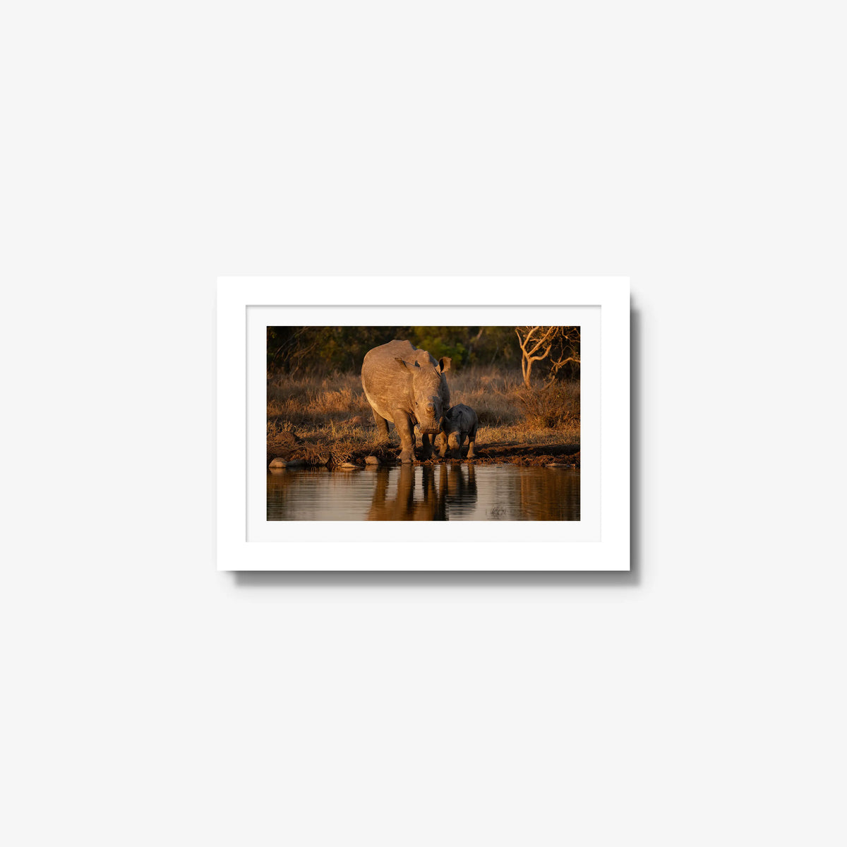 Shield and Shadow — mini / white / mat
