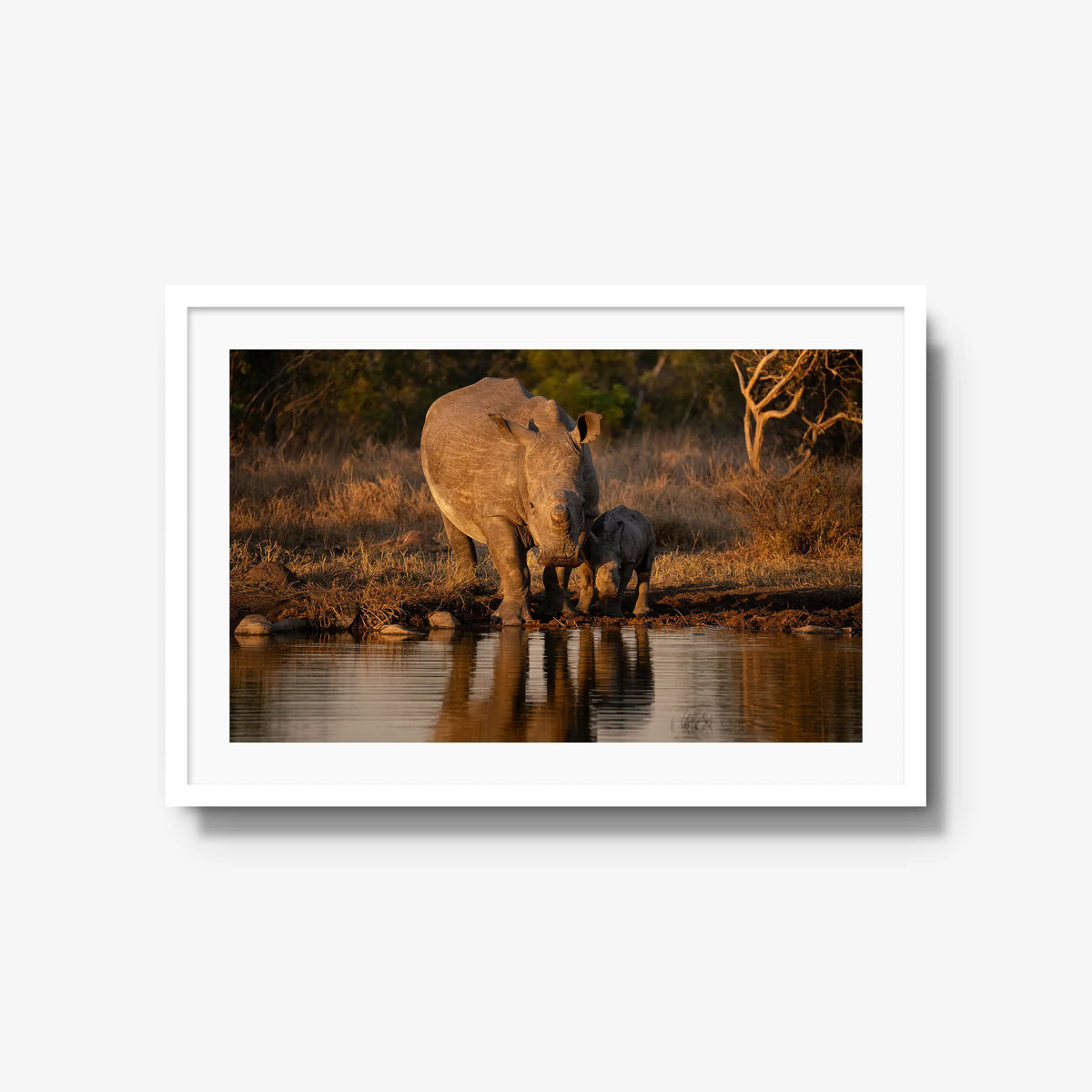 Shield and Shadow — large / white / mat