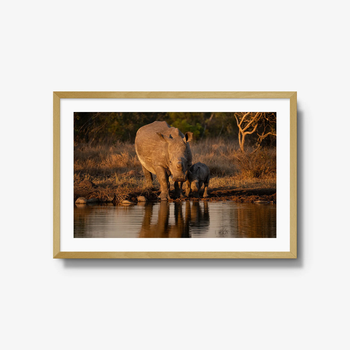 Shield and Shadow — large / natural / mat