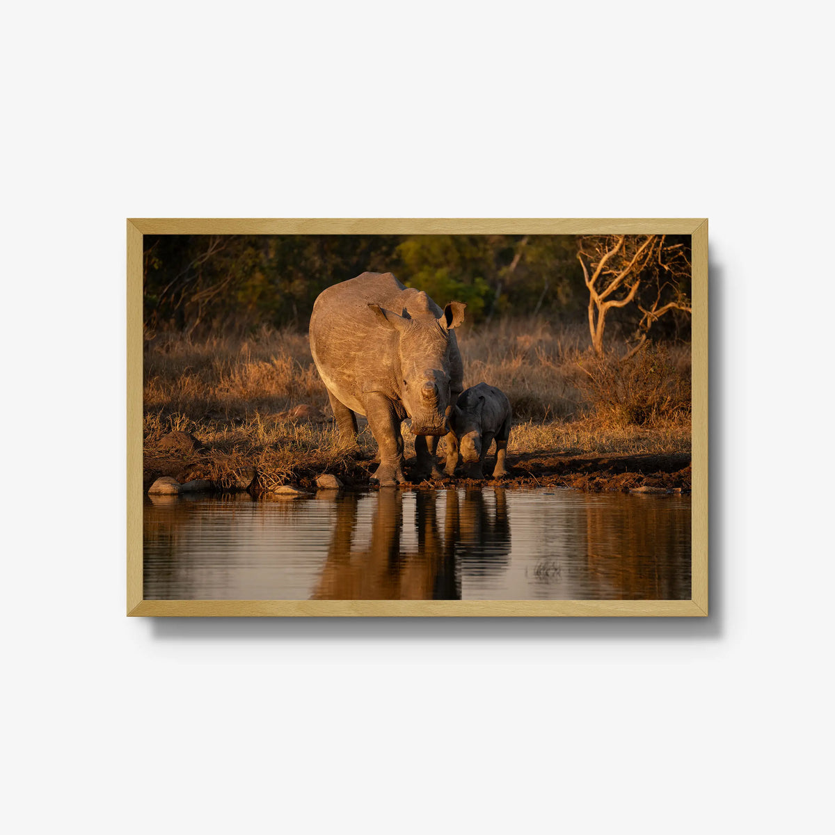 Shield and Shadow — large / natural / full