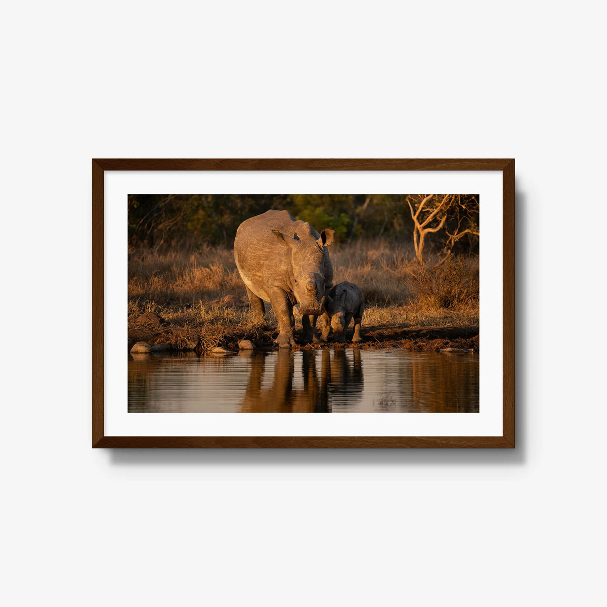 Shield and Shadow — large / brown / mat