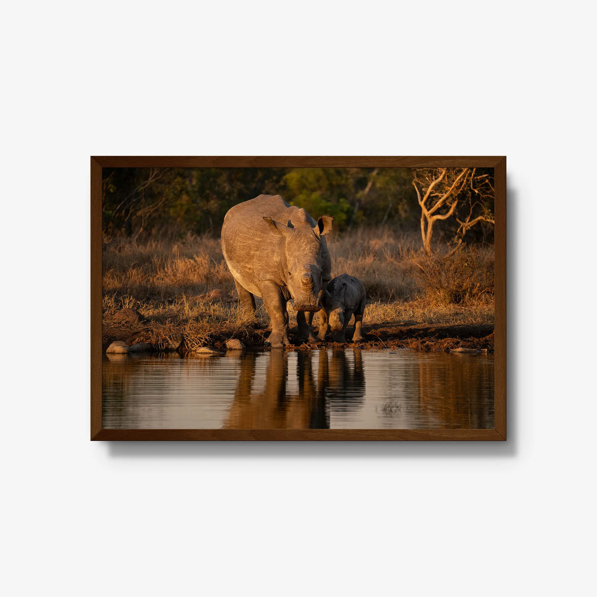 Shield and Shadow — large / brown / full