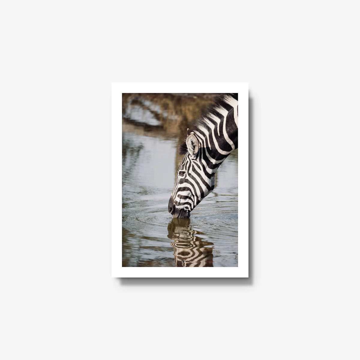Convergence — small / white / full