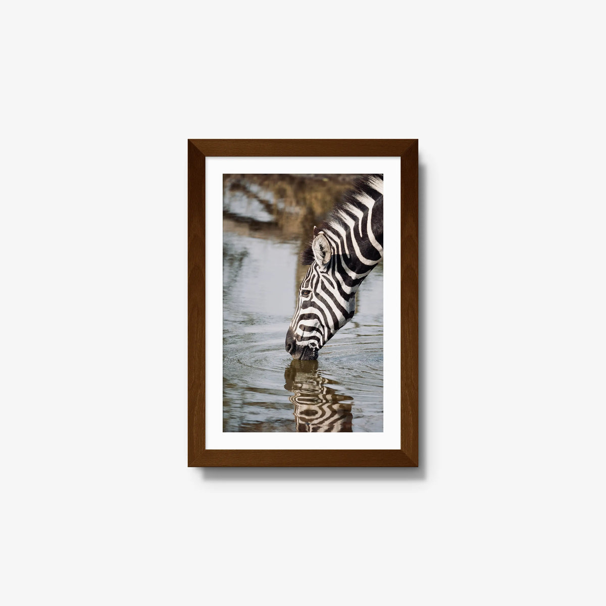 Convergence — small / brown / mat
