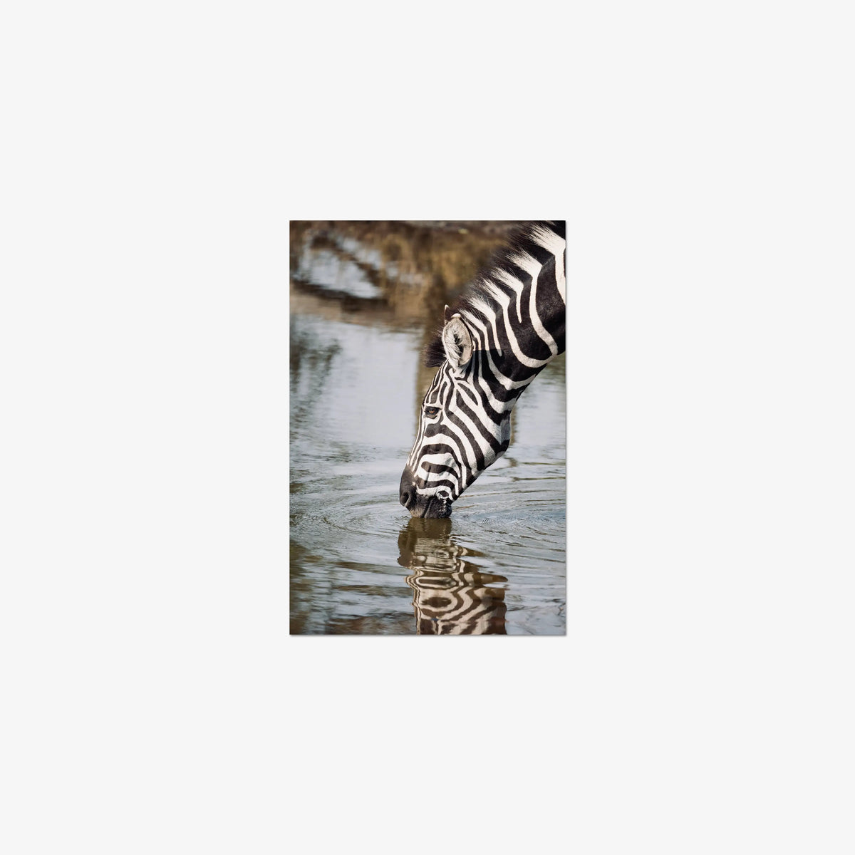 Convergence — small / print / n/a