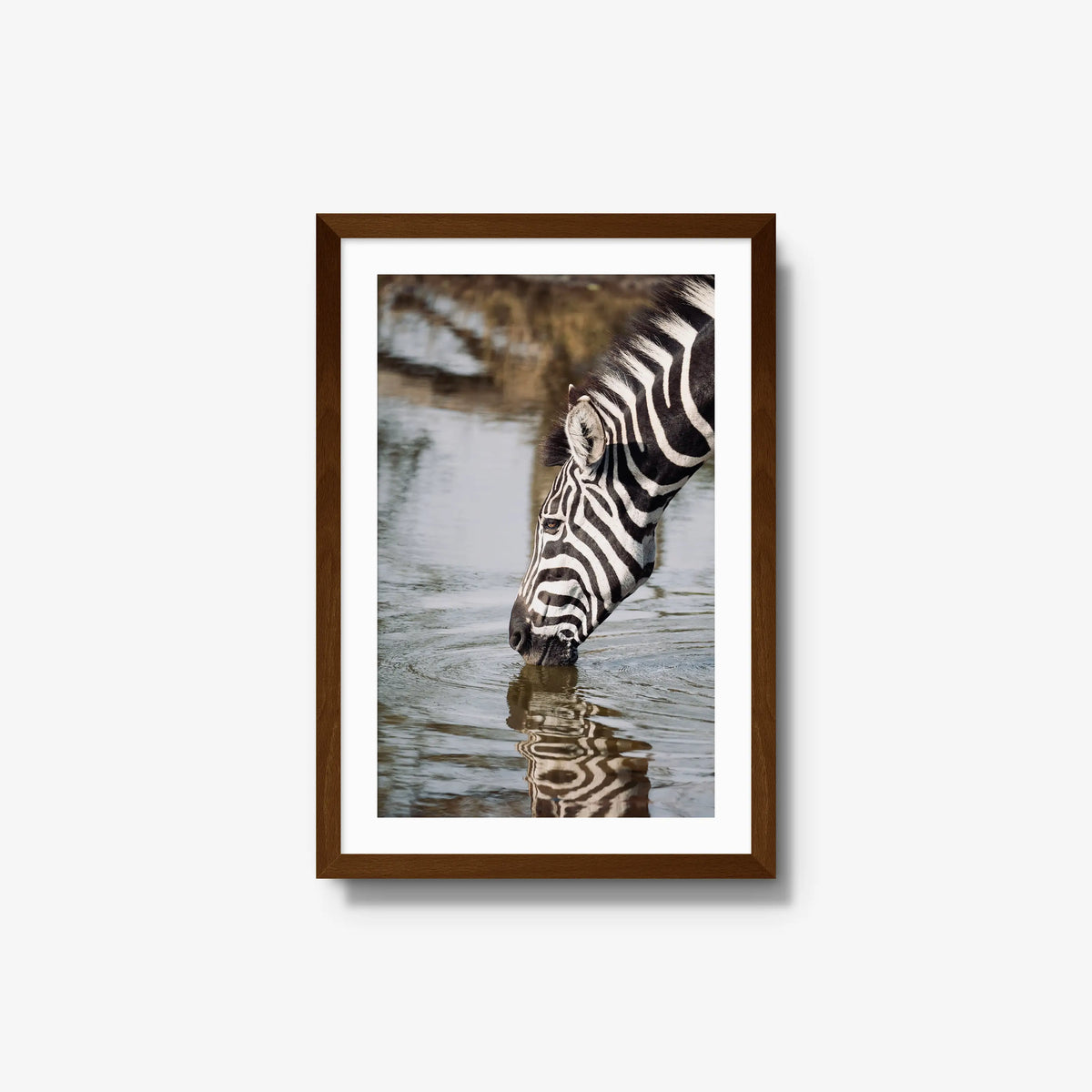 Convergence — medium / brown / mat