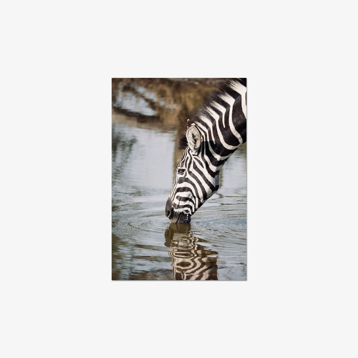Convergence — medium / print / n/a