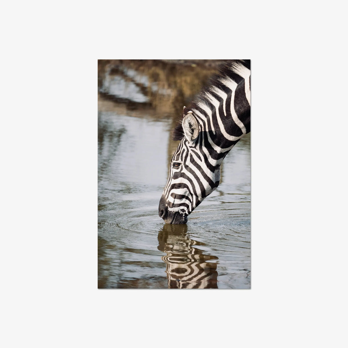 Convergence — large / print / n/a