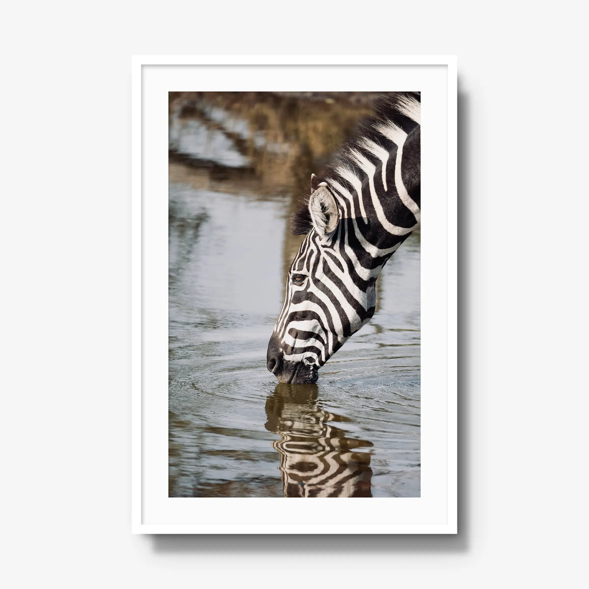 Convergence — gallery / white / mat
